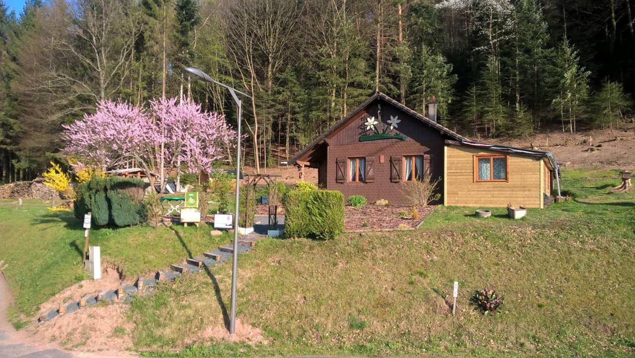 Gite Bien-Etre Walscheid Exterior foto